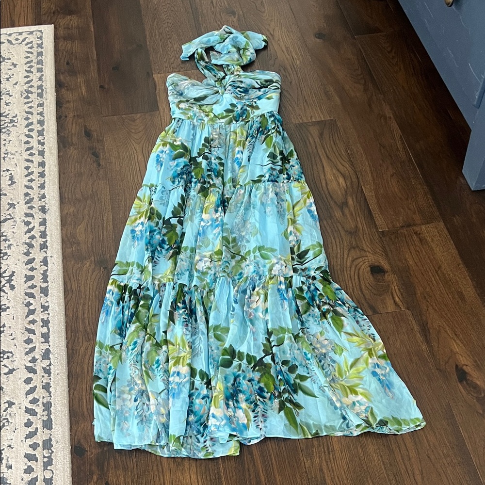 Cara Cara Piana Maxi dress